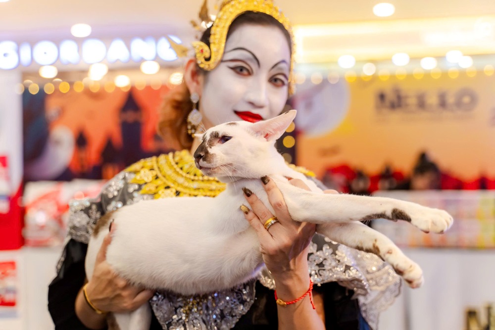  Chu meo Naomi (hinh tren) duoc menh danh la “chu meo xau nhat the gioi” thuoc giong Xiem co Thai Lan, duoc dinh gia hon 400 trieu dong den tu Thai Lan xuat hien tai su kien o TPHCM. Ảnh: Thai Bao