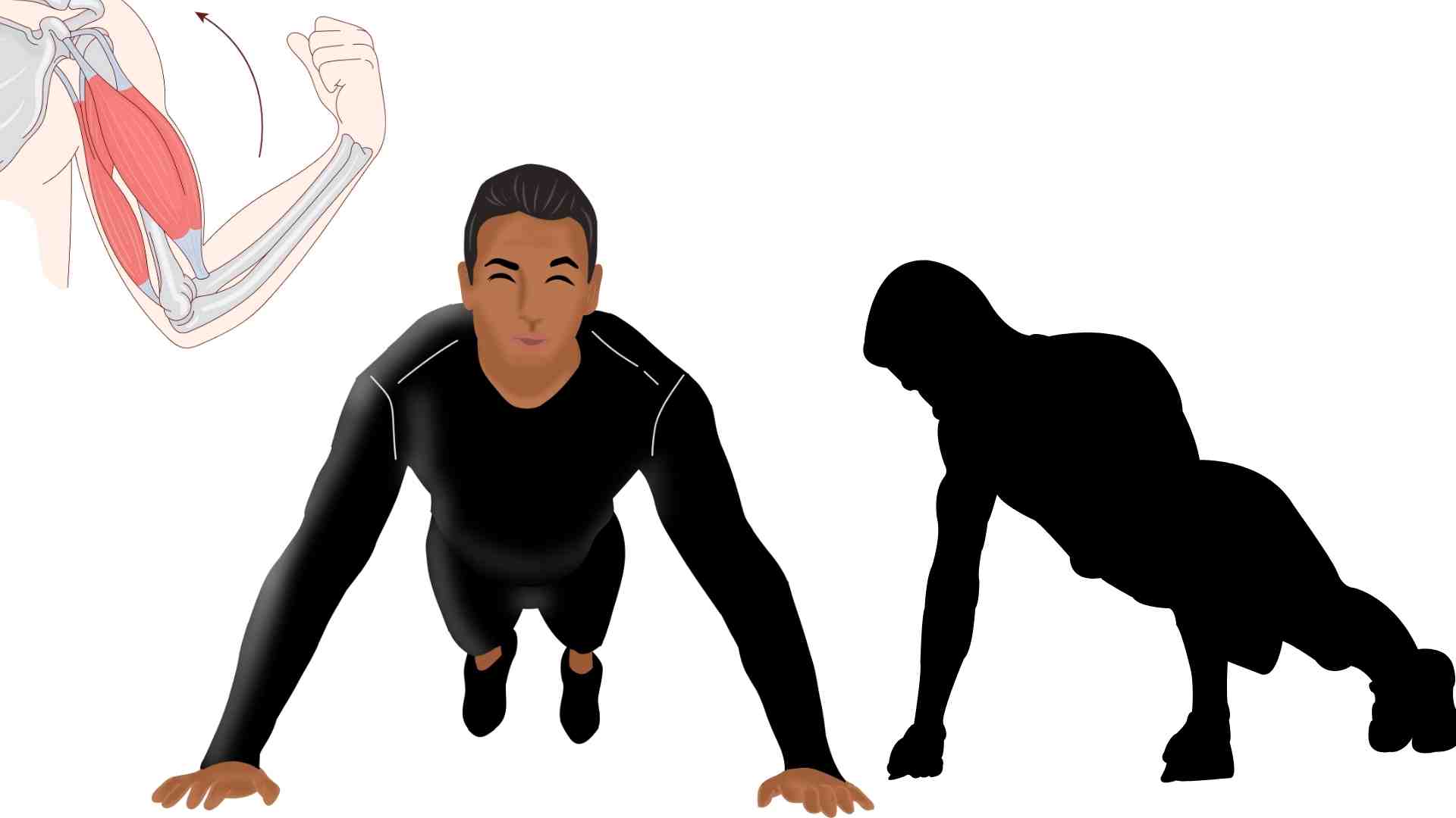 Proper push-ups help increase muscle mass as desired. Graphics: Ha May