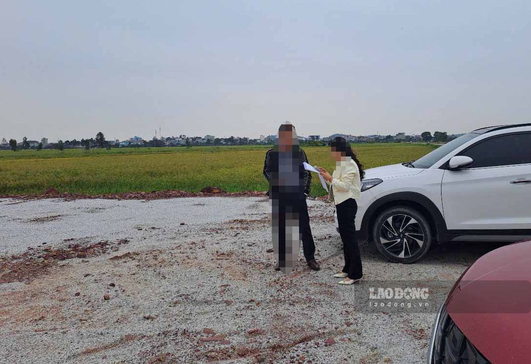Môi giới mời chào đặt cọc giữ chỗ tại dự án bất động sản trong khi hiện trạng dự án là những cánh lúa người dân canh tác ở Tiên Du (Bắc Ninh). Ảnh: PV