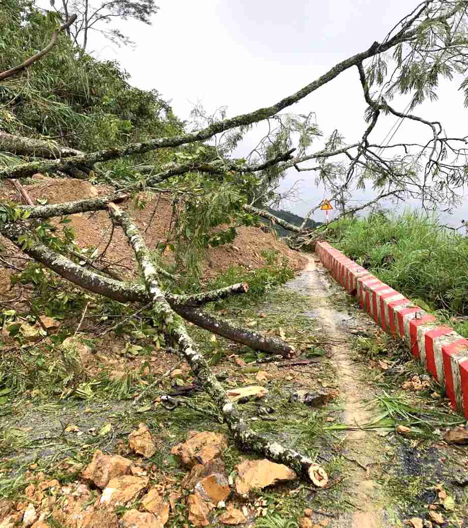 Sat lo nui lam tinh lo 534 qua xa Muong Long khong the luu thong. Anh: Ngoc Anh