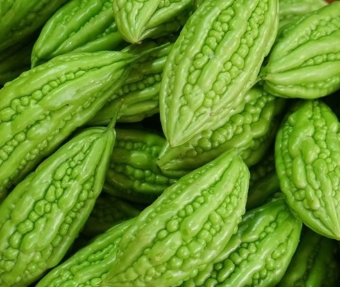 This bitter-tasty food effectively supports belly fat reduction. Photo: Kieu Vu