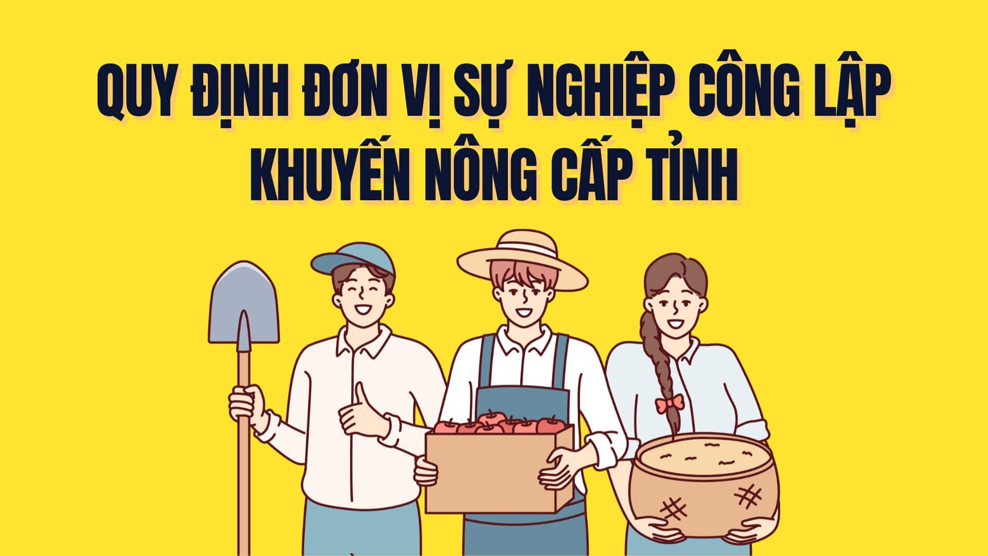 Regulating public service units to promote agriculture at the provincial level. Graphics: Tra My