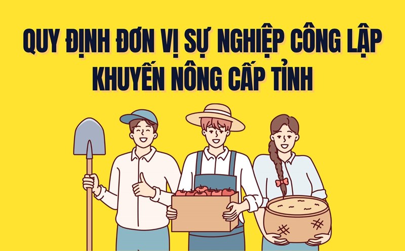 Regulating public service units to promote agriculture at the provincial level. Graphics: Tra My