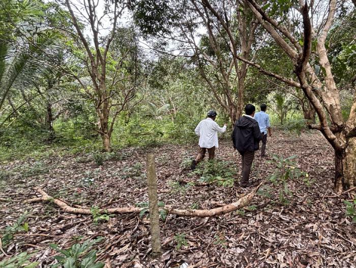 Ban doc moi chung toi di sau vao ben trong phia rung. Anh: Nhom PV.