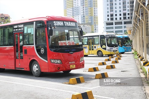 The Vietnam Automobile Transport Association has just proposed raising the age of D-class passenger car drivers to 62 years old because it believes that the old regulation is no longer suitable. Illustrative photo: Tran Vuong