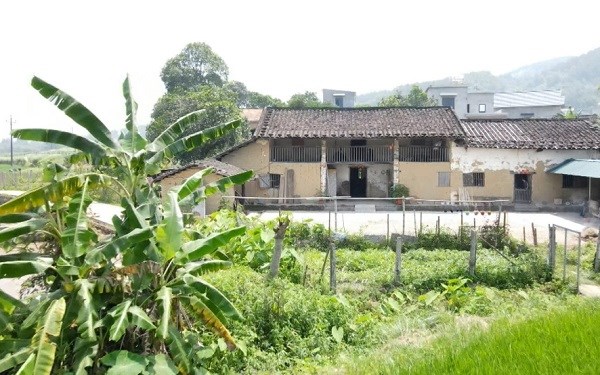 Bộ Nông nghiệp và Môi trường trả lời hạn mức đất ở có nguồn gốc khai hoang trong sổ đỏ