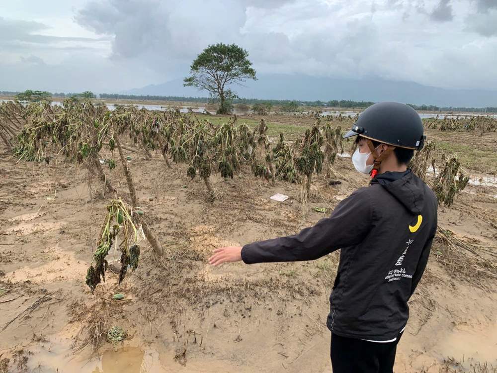 Theo nguoi dan dia phuong, hoa mau bi ngam trong nuoc qua lau nen hau het da ung thoi, hu hong nang. Anh: Thanh Huyen