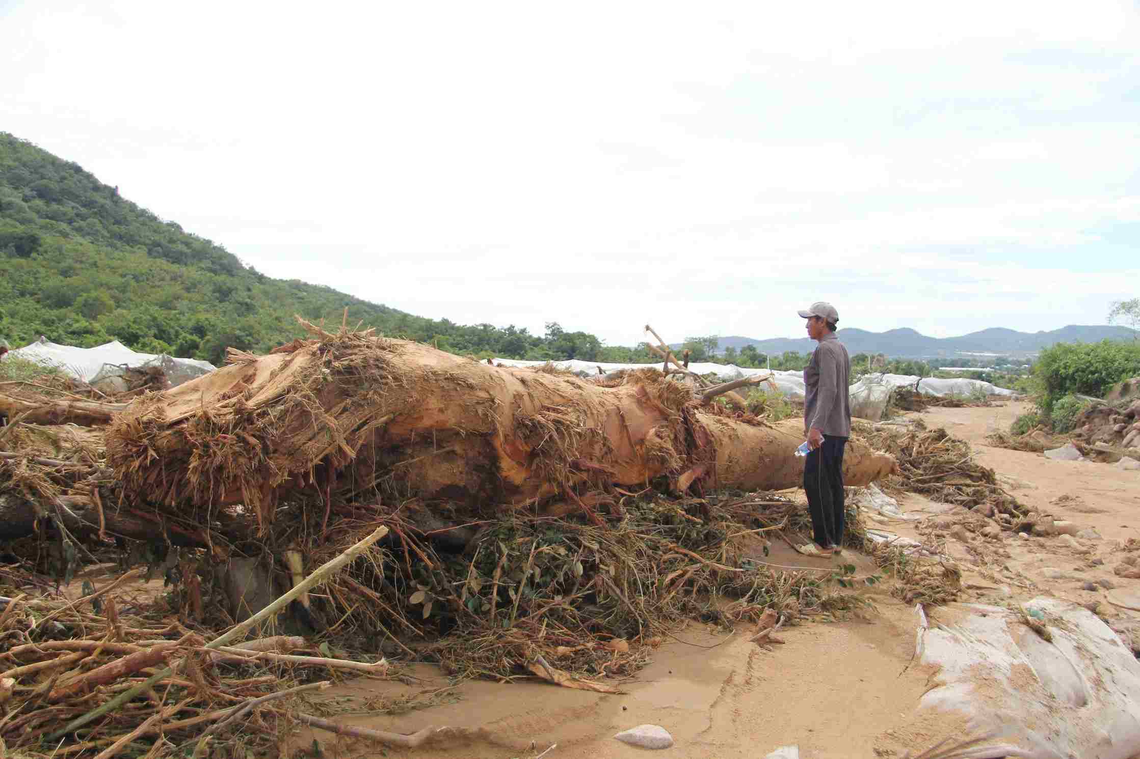 Canh tan hoan do ho chua nuoc bi vo gay ra hien tuong lu quet tai xa Tuy Phong. Anh: Phuc Khanh