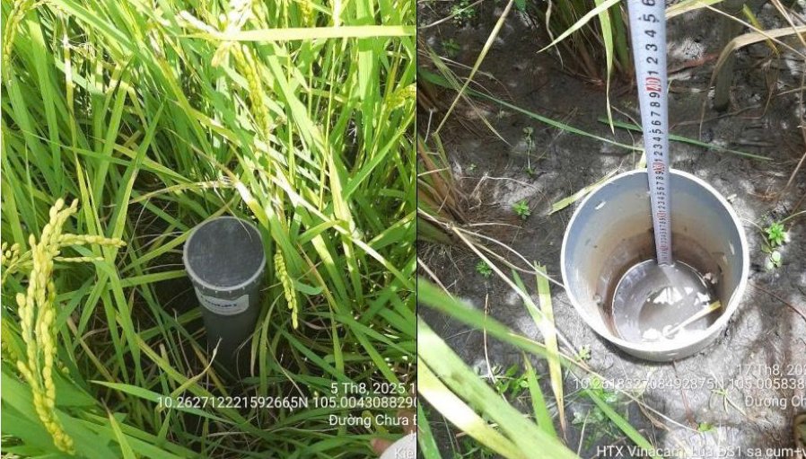 Ong AWD dat theo doi nuoc tai HTX Vinacam (tinh An Giang). Anh: Cong ty Lua GPT