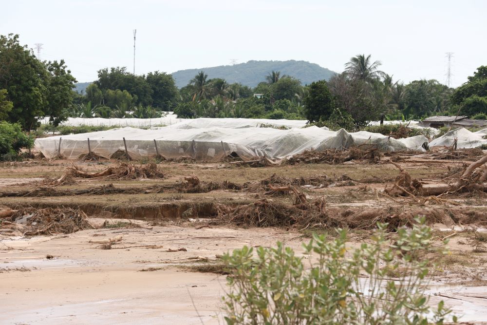 Nhieu vuon cay trai, nha cua, hoa mau cua nguoi dan bi dong chay mang theo bun dat vui lap tao nen khung canh tan hoang.