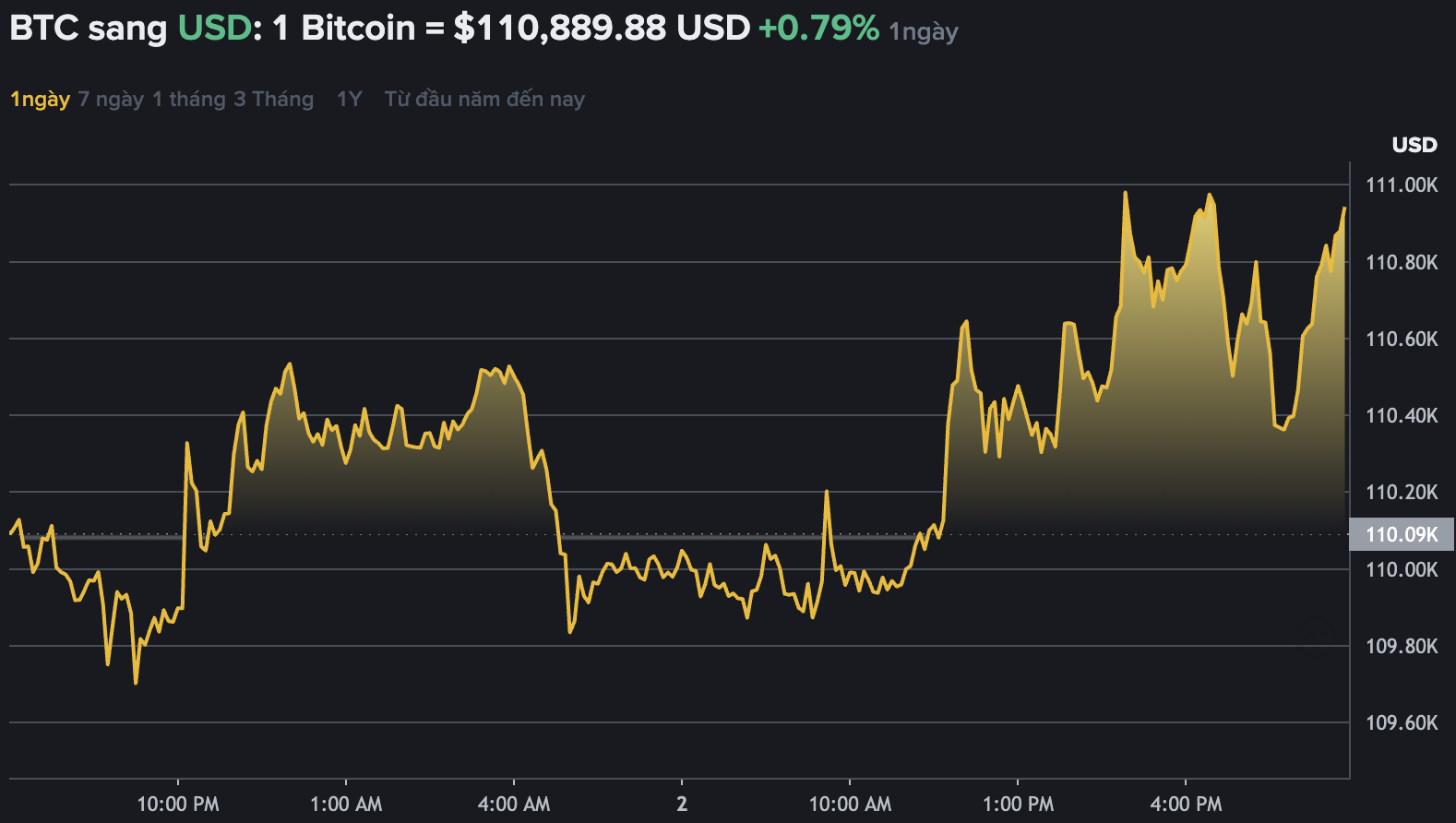 Du lieu tren Binance - san giao dich tien ma hoa lon nhat the gioi cho thay Bitcoin dao chieu tang nhe, vuot nguong 110.000 USD. Nguon: Binance.com