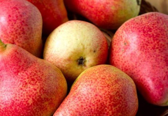 This is a sweet fruit that diabetics can still eat in moderation. Photo: Kieu Vu