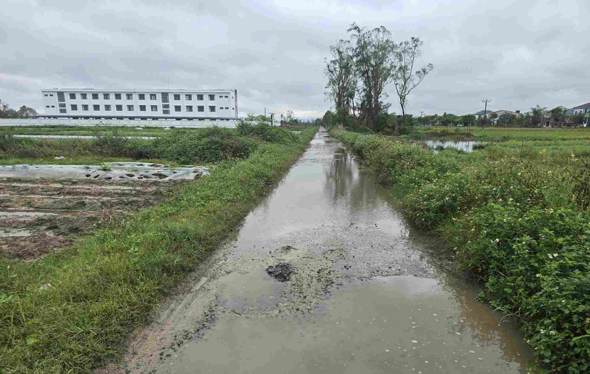 Tuyen duong dan vao truong moi nho hep, nuoc dong thuong xuyen. Anh: Ngoc Anh