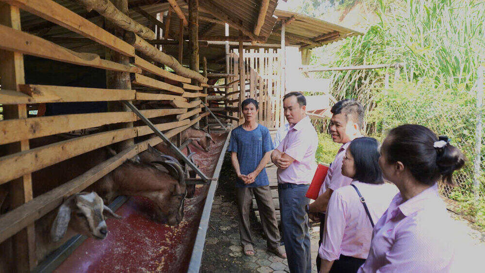 Giam doc chi nhanh NHCSXH tinh Thai Nguyen Pham Tuan Hung (thu hai tu trai qua) kiem tra hoat dong su dung von vay tai cac dia phuong. Ảnh: NHCSXH  