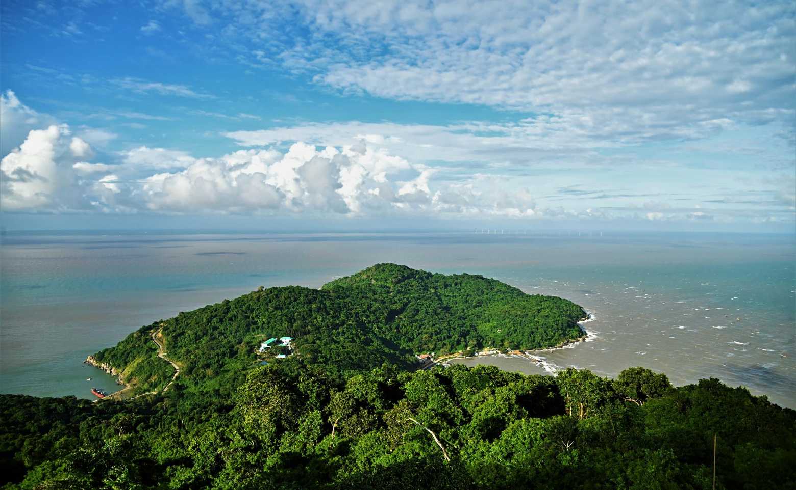 Mot goc cum dao Hon Khoai, Ca Mau. Anh: Van Dong