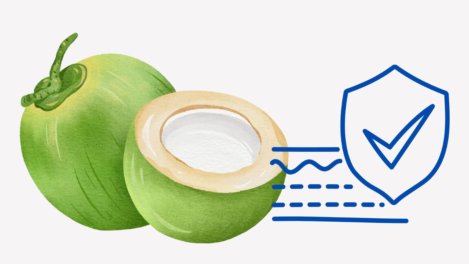 ココナッツウォーターは肌に多くの利点をもたらします。イラスト:Thanh Thanh