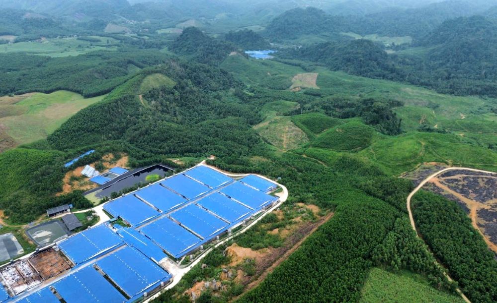 Many people are interested in regulating documents for farm construction. Photo: Quach Du