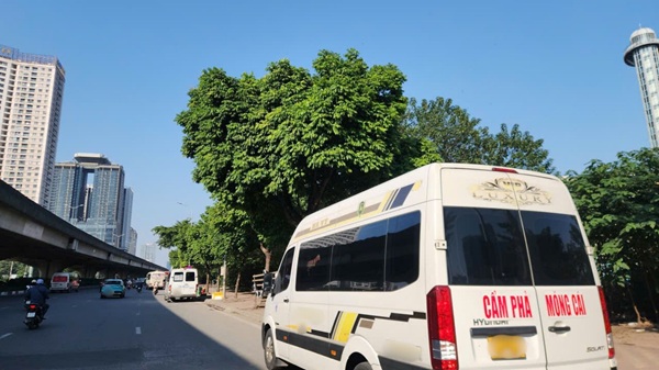 Xe hợp đồng đang lấn át xe khách tuyến cố định đón khách tràn lan. Ảnh: Minh Hạnh 