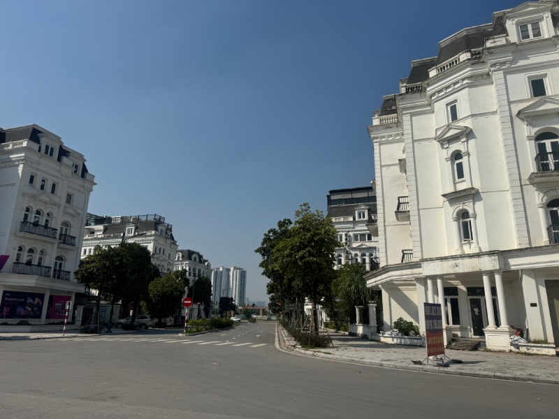 Du an doi ung lai duoc Cong ty co phan thuong mai Ngoi nha moi trien khai rat nhanh va ban ra cac can biet thu, nha lien ke,... Anh: Nhom PV