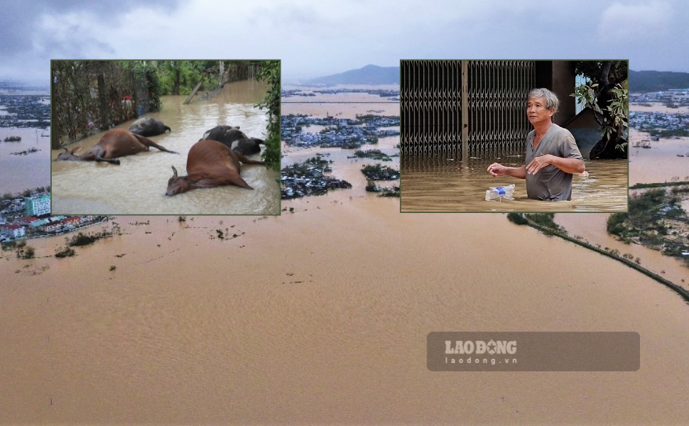 Gia Lai에는 홍수가 점차 빠지고 비가 그쳤지만 여전히 2-3m 깊이로 침수된 지역이 많습니다. 사진: Hoai Phuong