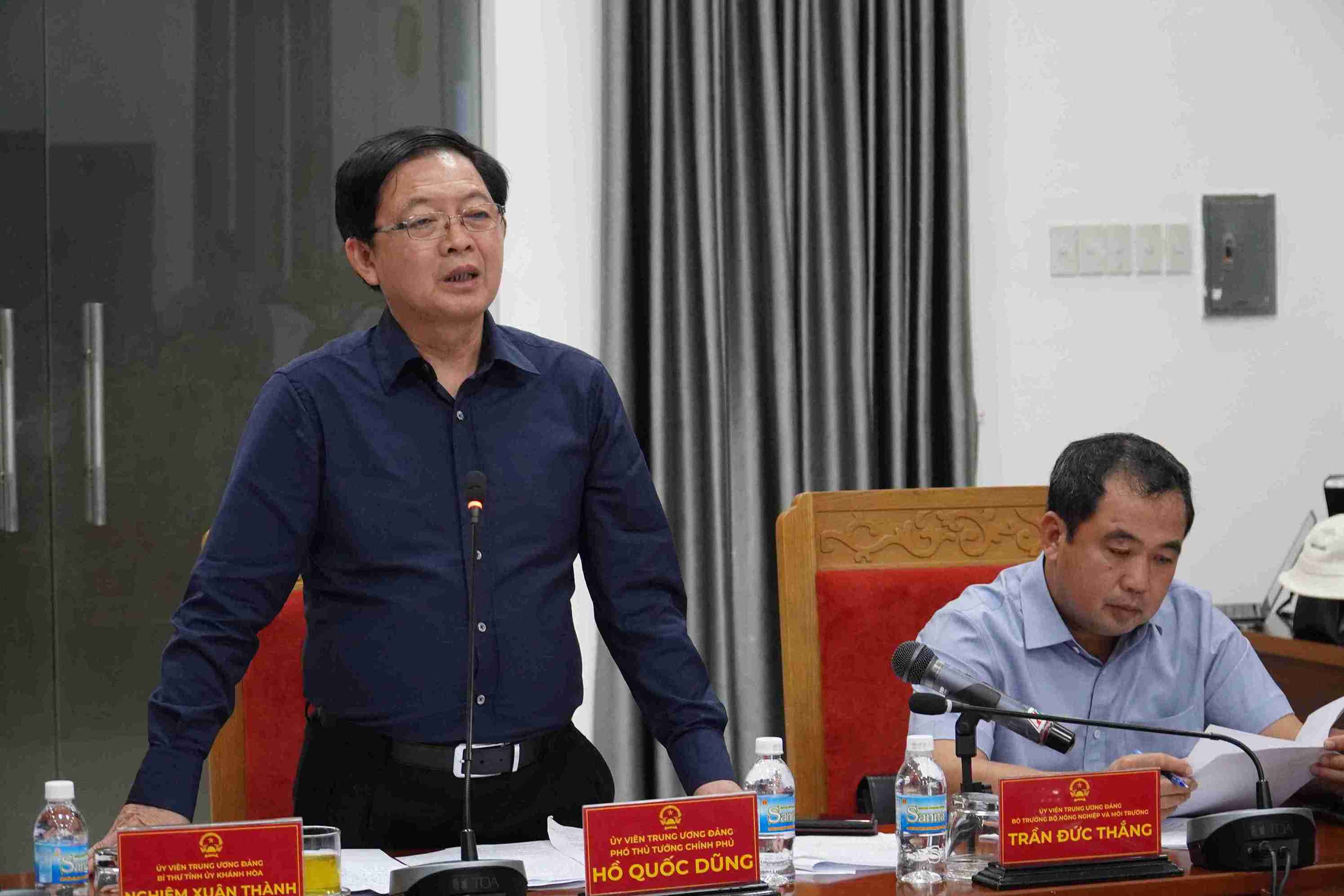 Pho Thu tuong Ho Quoc Dung phat bieu chi dao tai cuoc hop. Anh: Huu Long