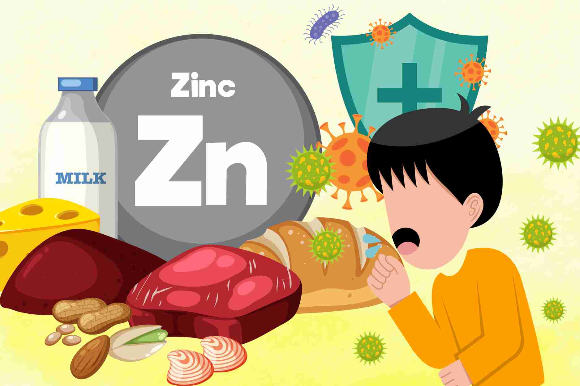 3 zinc-rich foods help boost immunity, prevent influenza A