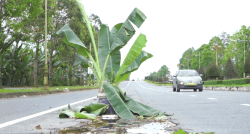 Can Tho gateway exposes deadly dangers