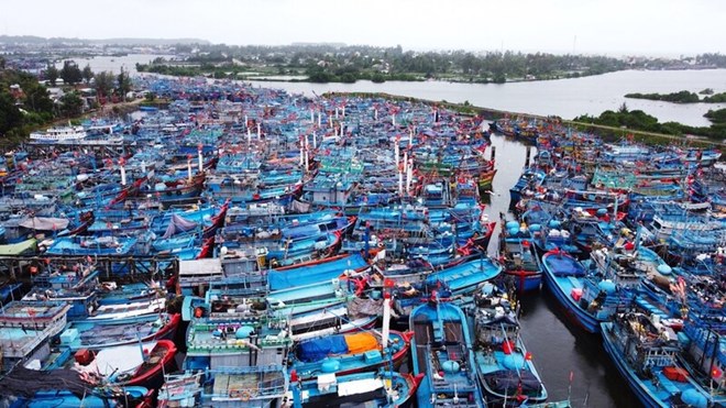 Cac cang ca o Quang Ngai chat kin tau ca nam bo. Anh: Vien Nguyen