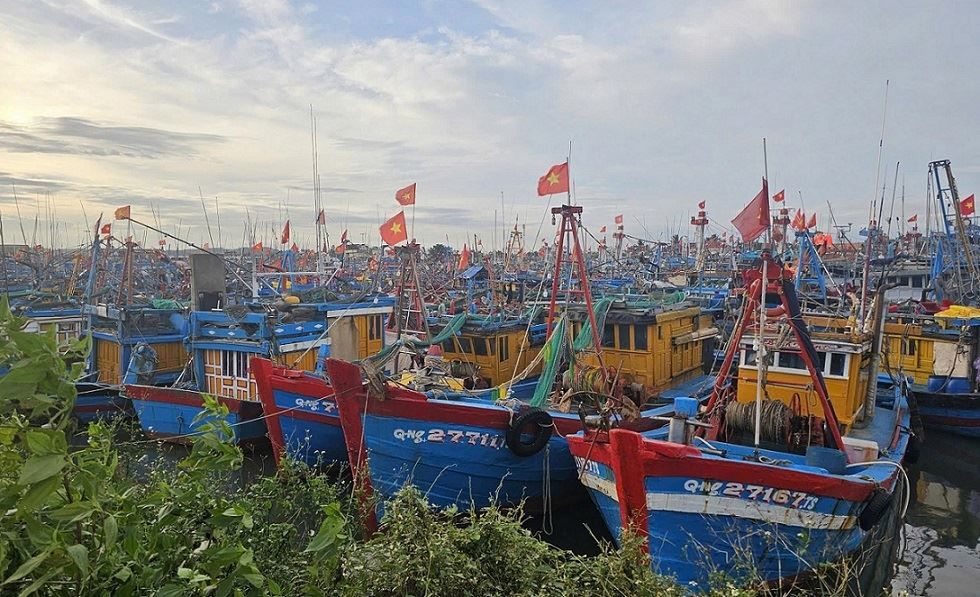 Thousands of fishing vessels in Quang Ngai are having to squeeze ashore in fishing ports because the sea is rough and they cannot go to sea. Photo: Vien Nguyen