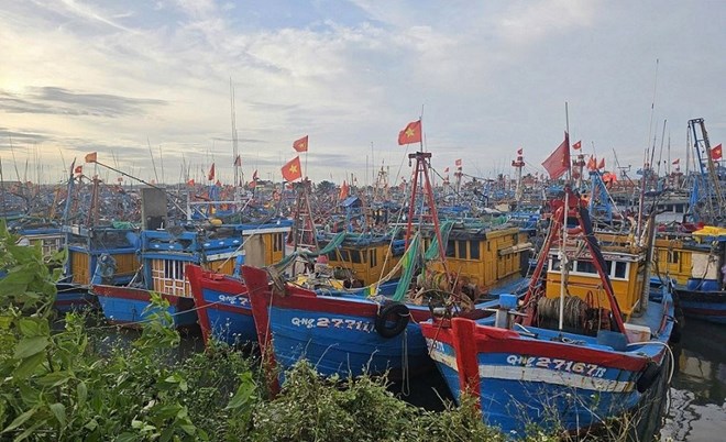 Hàng nghìn tàu cá Quảng Ngãi nằm bờ hơn một tháng