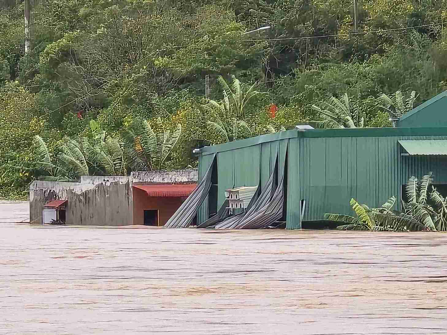 Lu len nhanh, chay xiet khien nha cua cua nguoi dan ven song Da Nhim ngap sau tu 1m den 2m. Anh: Phuc Khanh