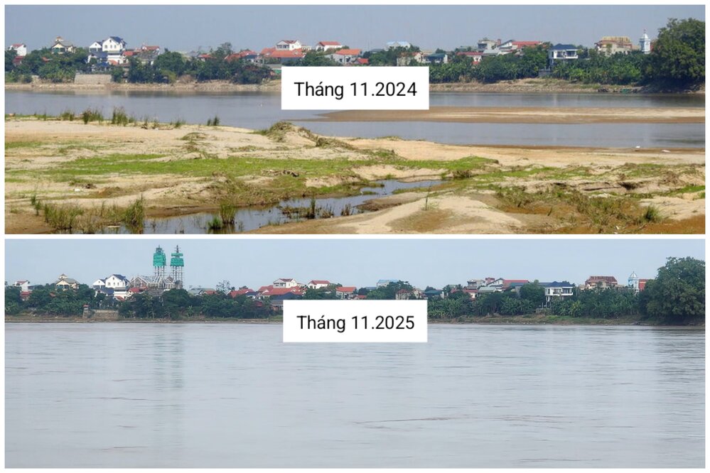 같은 각도에서 찍으면 올해 11월 홍강 수위가 2024년 11월 시점과 많이 다르다는 것을 알 수 있습니다. 사진: To Cong.