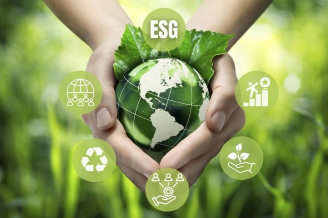 The circular economy has been included in the national strategic orientation, creating a legal framework for action. Graphics: Phuong Anh