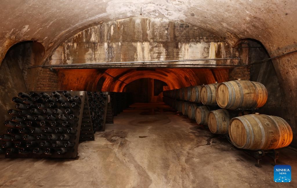 Machines are gradually replacing human hands, but there is one thing that cannot create a story. Photo: Xinhua