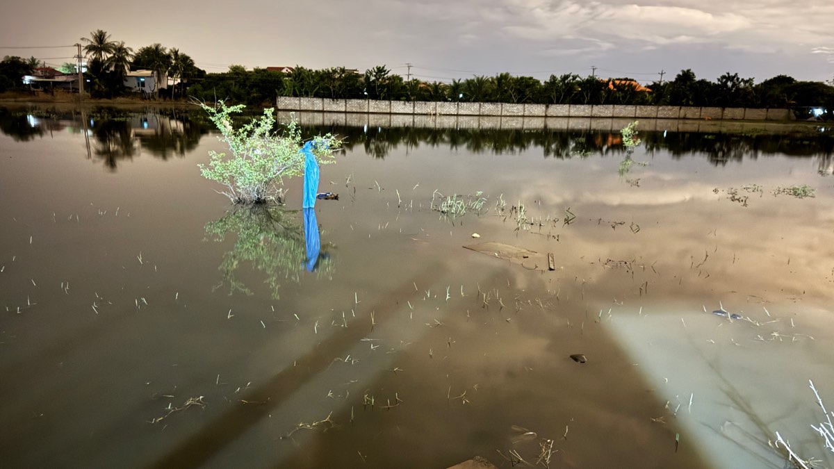 Khu ruong ngap nuoc - noi tim thay thi the be trai. Anh: Duy Tuan 