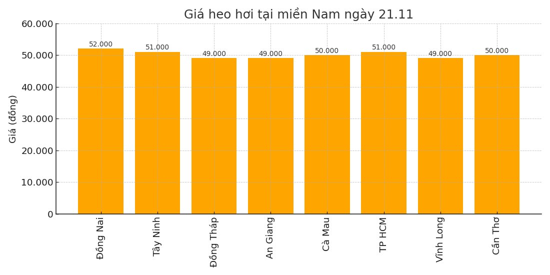 Gia heo hoi hom nay 21.11 tai khu vuc mien Nam. Do hoa: Thuy Linh