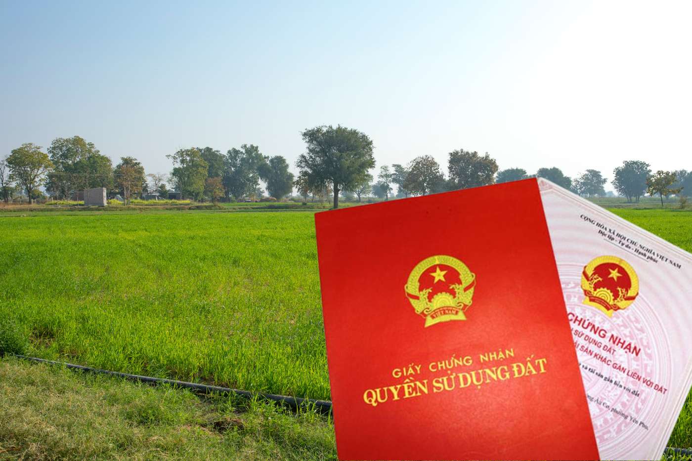 안정적으로 사용되는 농지에 대한 토지 사용권 증명서 발급 및 남은 면적 처리 규정