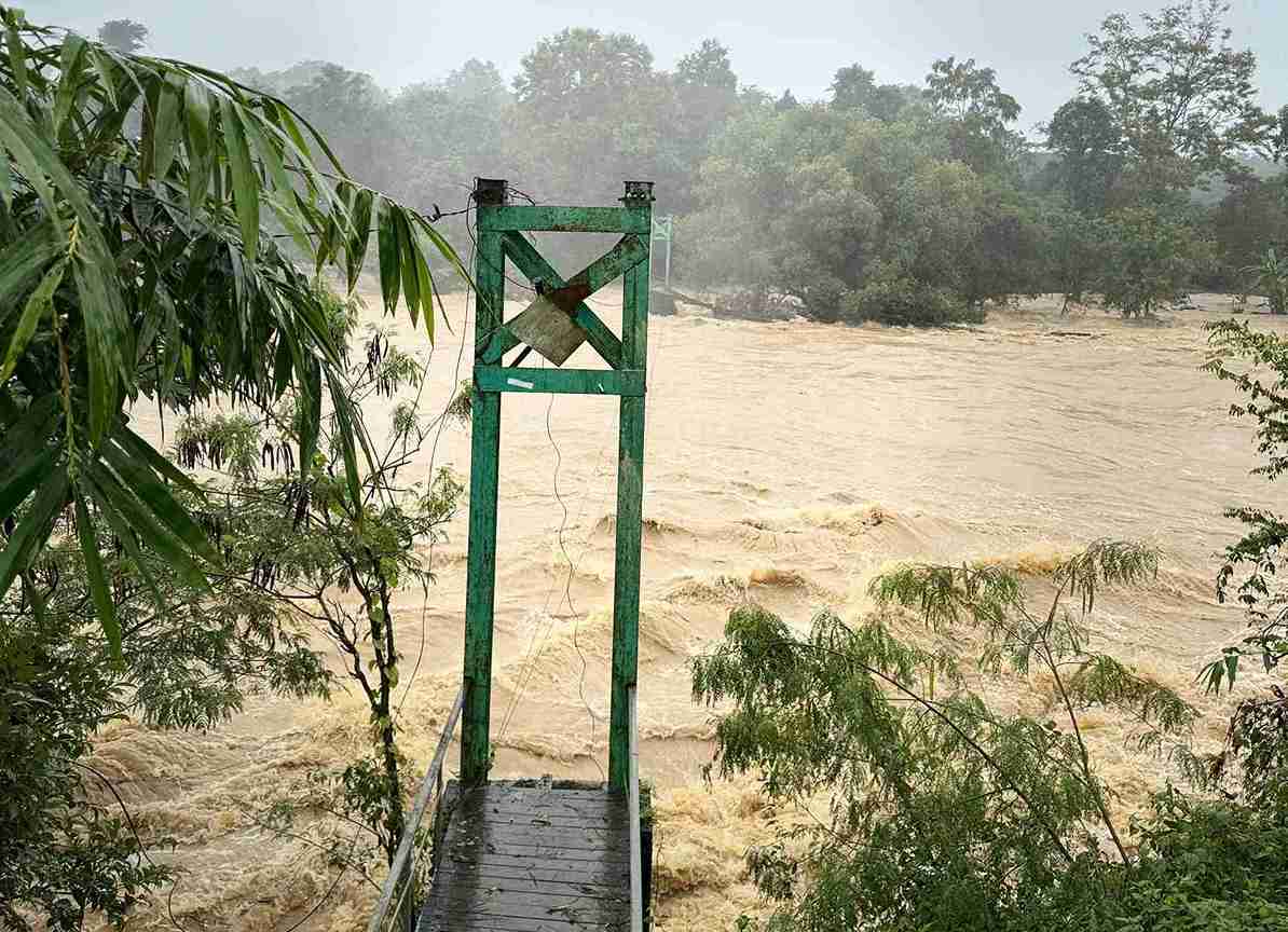 Cay cau treo bi nuoc lu cuon troi. Anh: Bao Trung