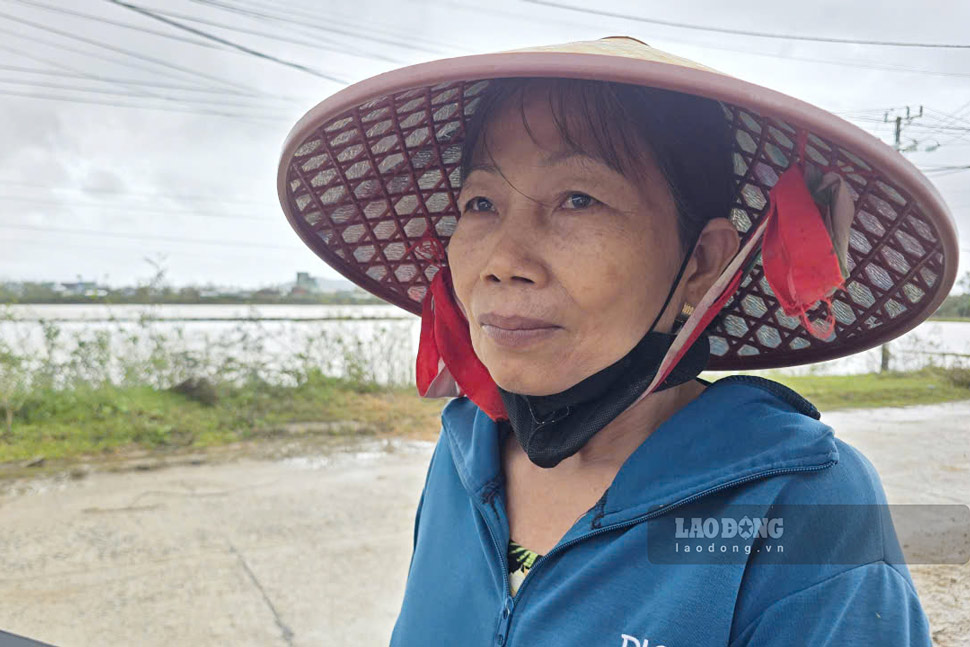 Ba Huong di tim gia suc trong vo vong. Anh: Hoai Phuong
