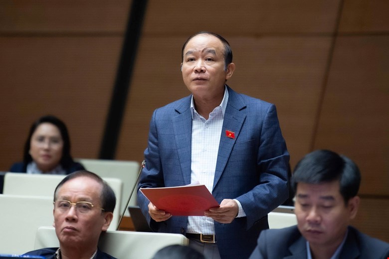 Dai bieu Quoc hoi La Thanh Tan. Anh: Quochoi.vn