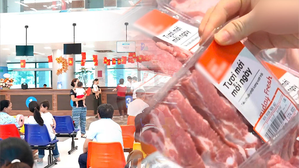 子供の免疫力を高めるために、栄養士は補給すべき食品を提案しています.