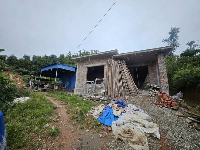 Phạt 30 triệu đồng, buộc tháo dỡ công trình trái phép trên đất lâm nghiệp Hải Phòng