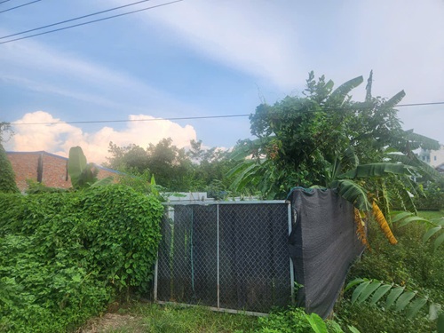 Dat nong nghiep gia re: “Canh bac” khien nhieu nguoi tra gia dat. Anh: Minh Hanh 