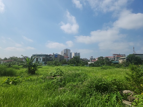 Dat nong nghiep xen ket khong dam bao ve phap ly. Anh: Minh Hanh 