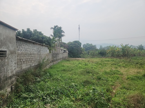 Buying land at cheap prices, gambling has left many people penniless. Photo: Minh Hanh