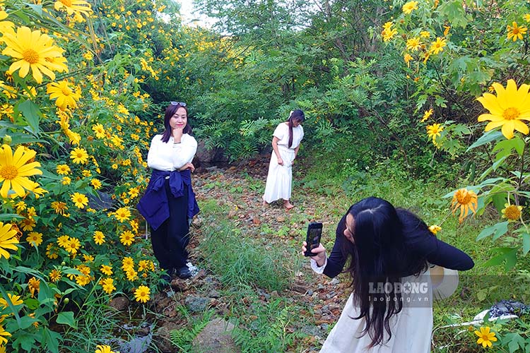 Du khach check-in hoa tai khu vuc ho chua nuoc Nam Khau Hu, xa Thanh Nua. Anh: Quang Dat