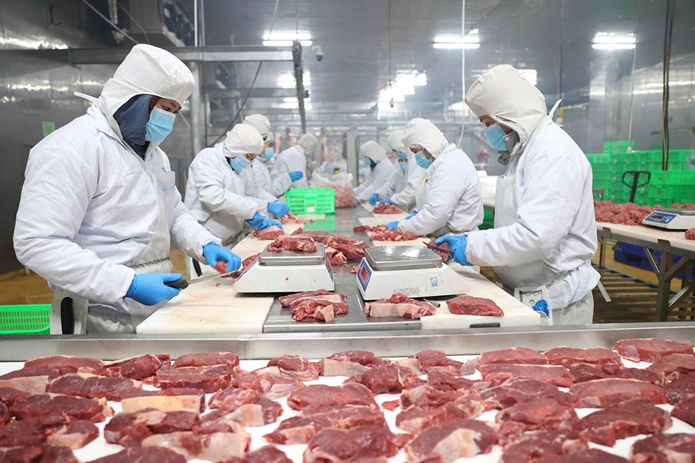 The regional minimum wage in Tay Ninh will be adjusted according to new regulations from January 1, 2026. Photo: Thanh Vu