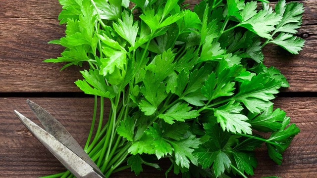 Parsley contains many vitamins and minerals. Photo: Quang Minh