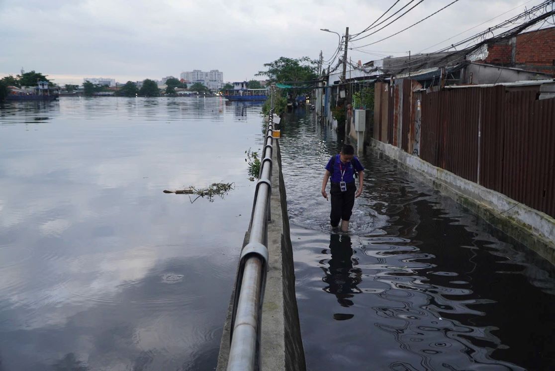 Duong Rach Cung “hoa song“. Anh: Nguyen Chan