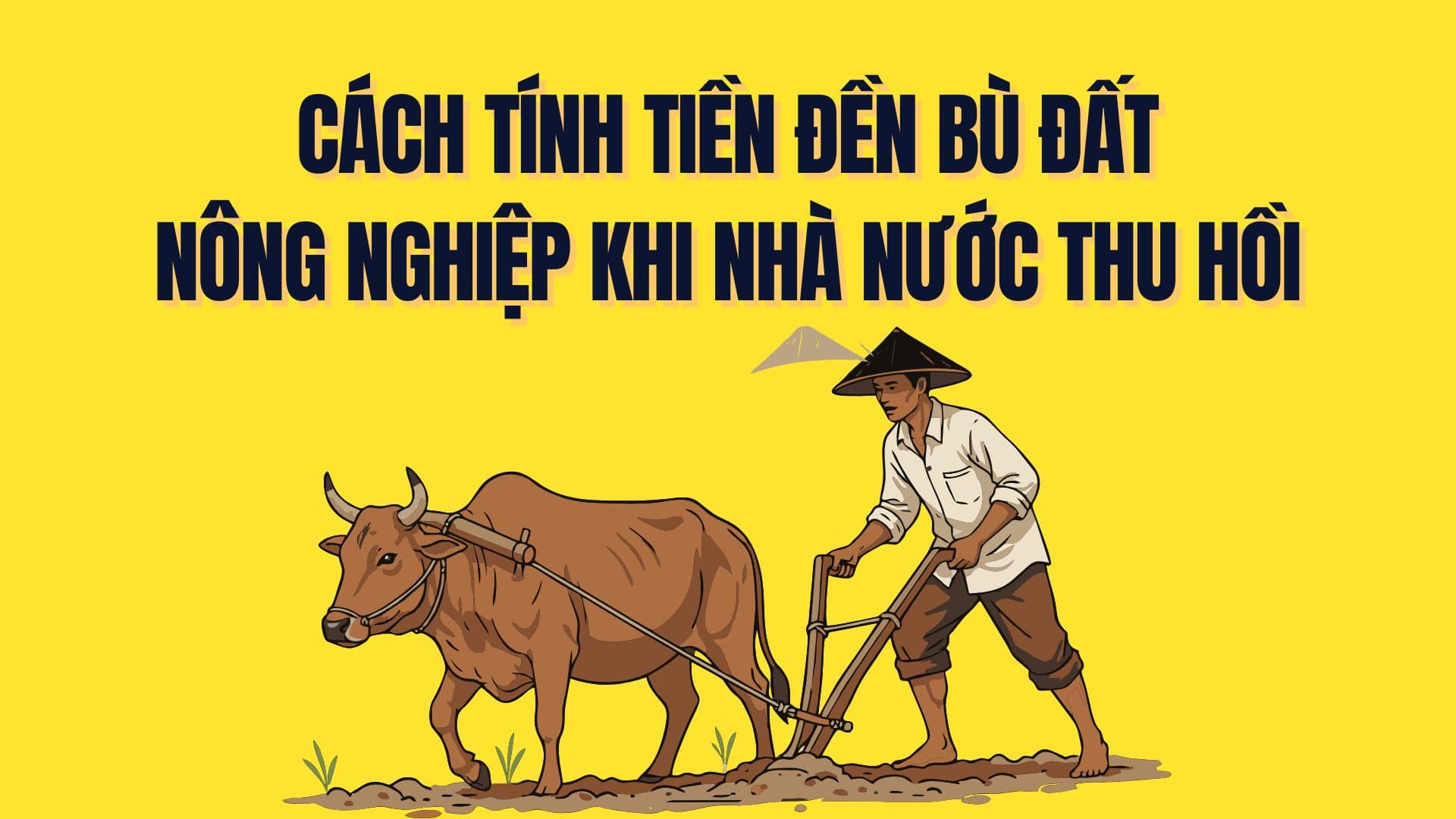 La forma mas reciente de calcular el dinero de la compensacion por tierras agricolas cuando el Estado las recupera. Grafico: Tra My